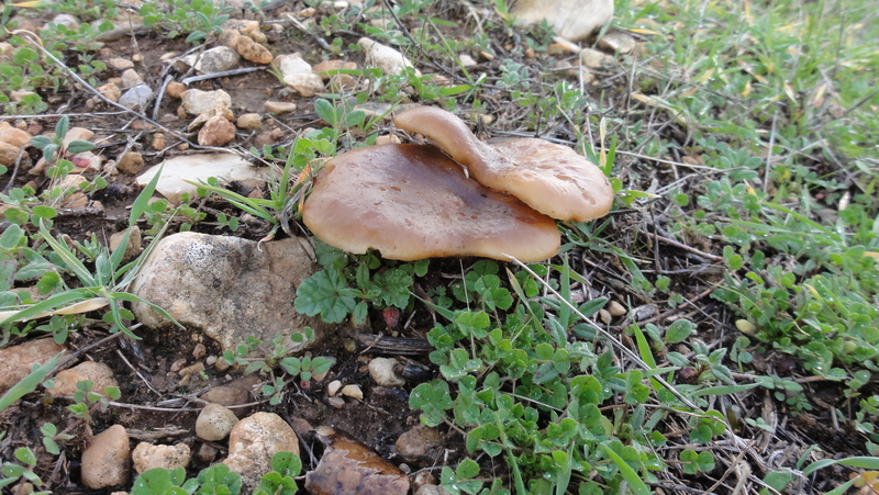DSC05041.JPG