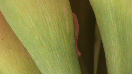 DSC05042.JPG