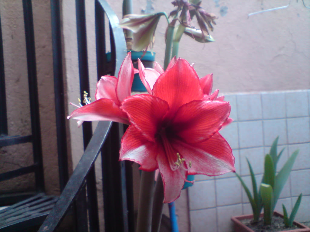 DSC05043.jpg