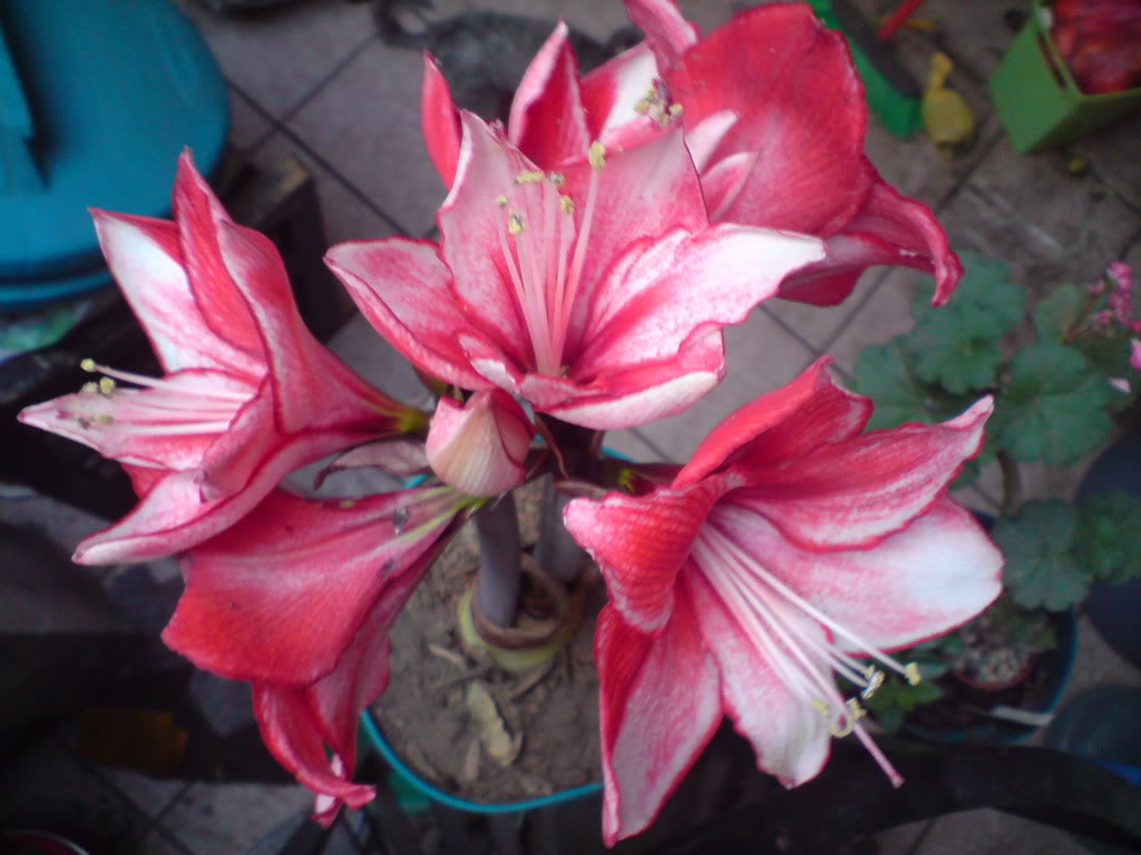 DSC05044.jpg