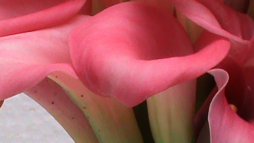 DSC05051.JPG