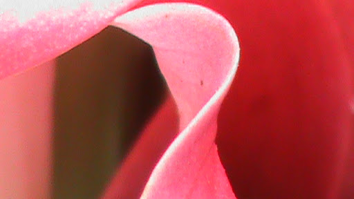 DSC05054.JPG