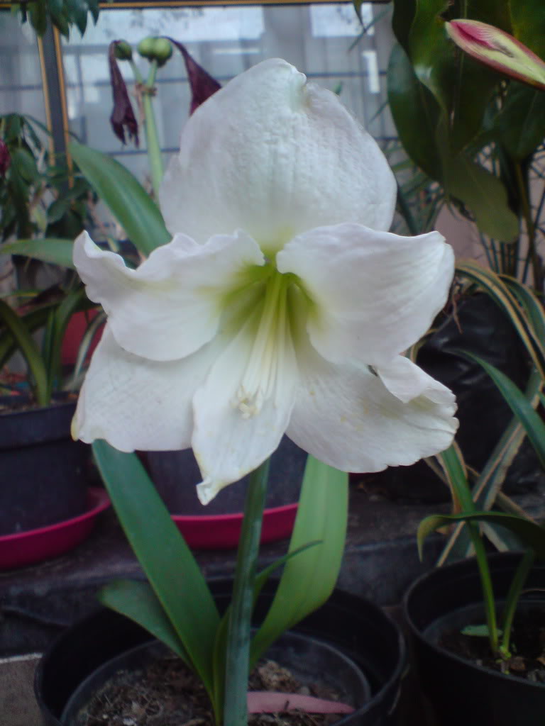 DSC05055.jpg