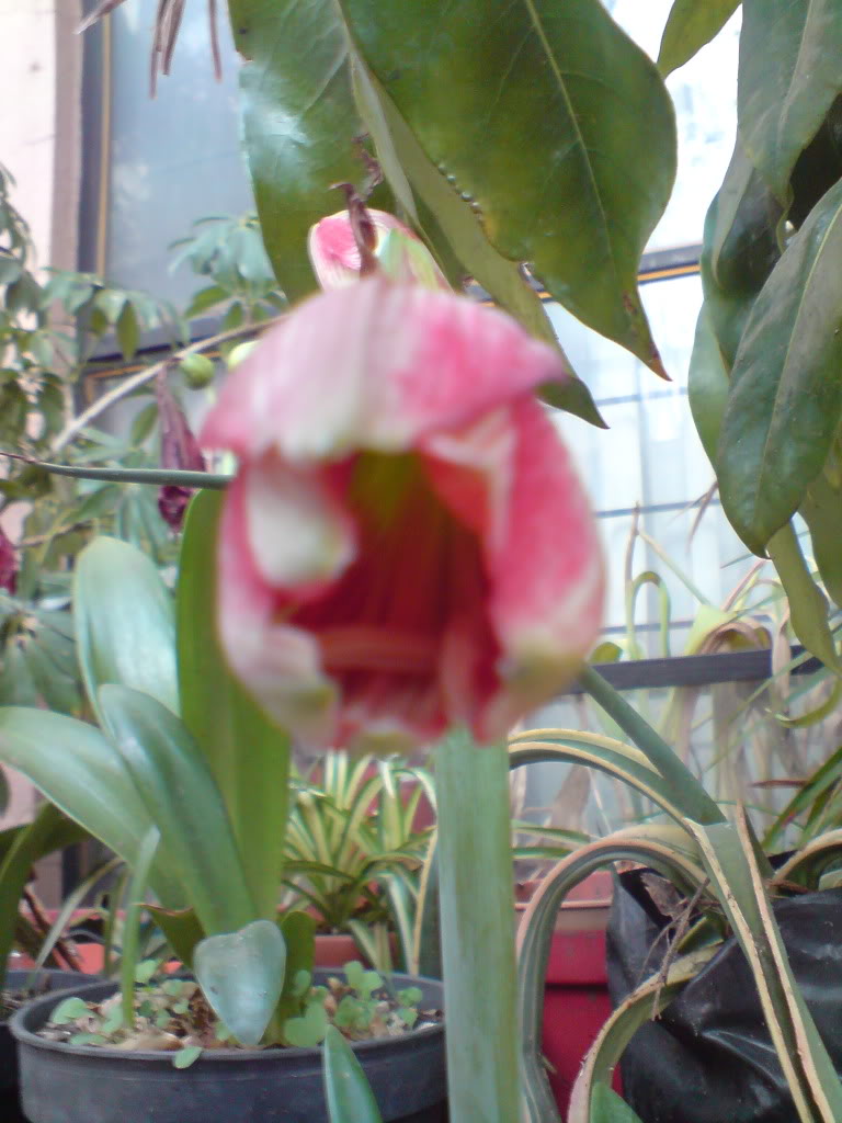 DSC05057.jpg