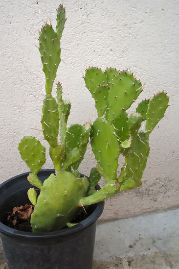 DSC05058.jpg