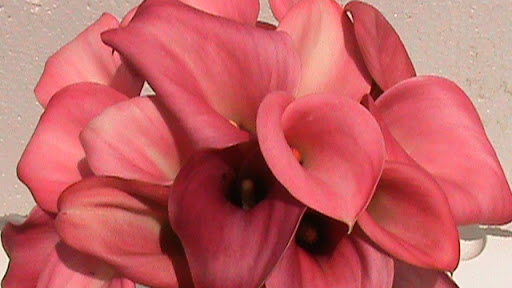 DSC05072.JPG