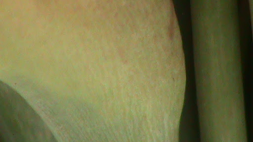 DSC05074.JPG