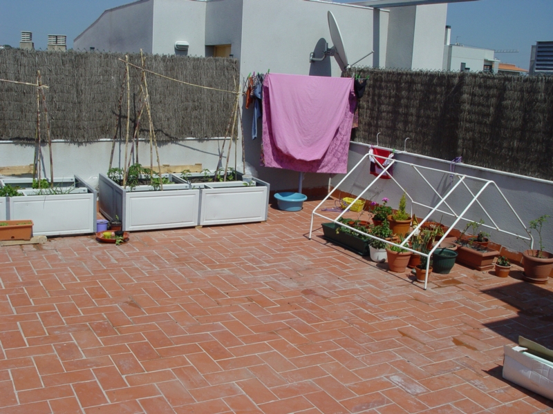 DSC05097.JPG