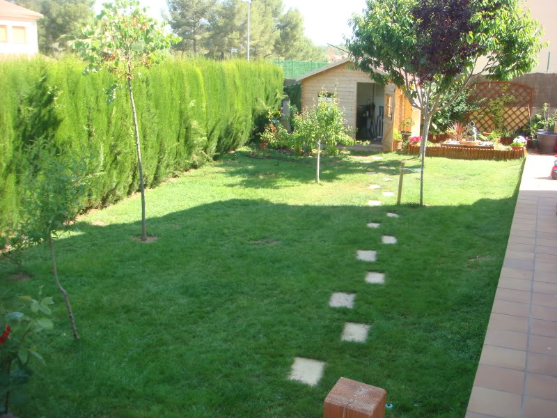 DSC05104.jpg