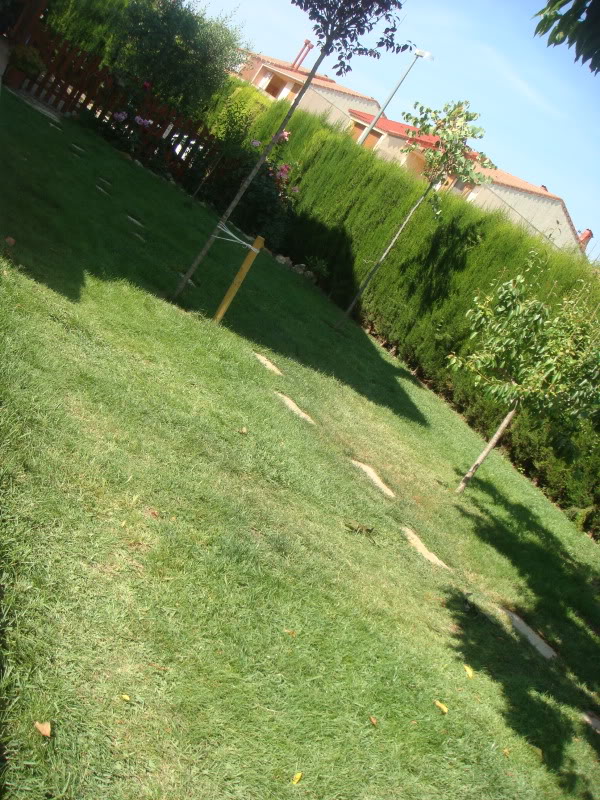 DSC05113.jpg