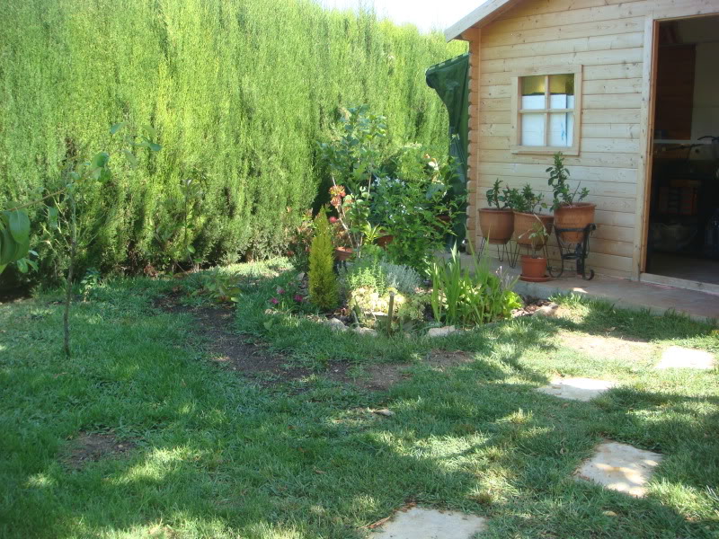 DSC05114.jpg