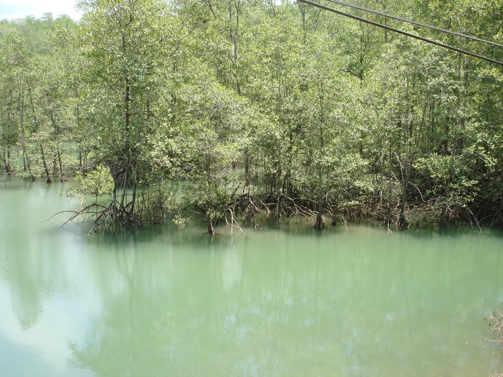 DSC05123.jpg