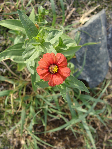 DSC05140.JPG