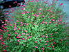 DSC05162.JPG