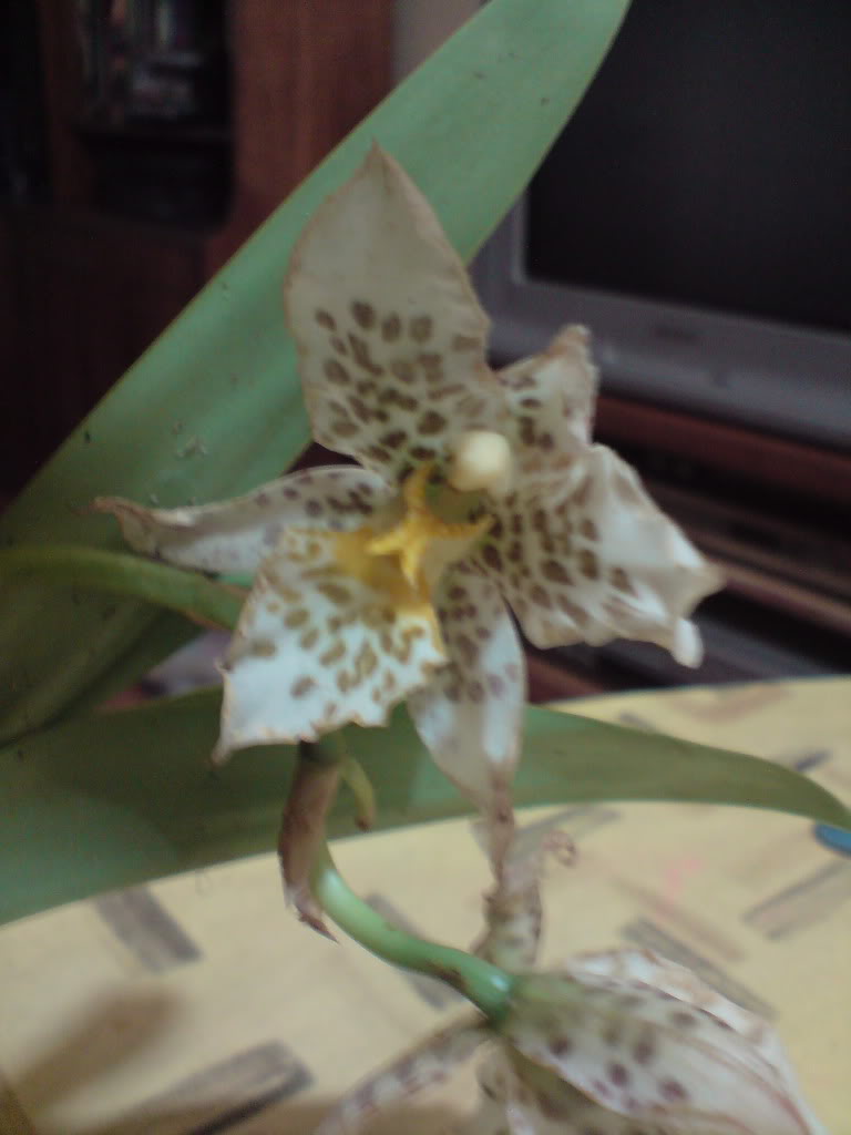DSC05177.jpg