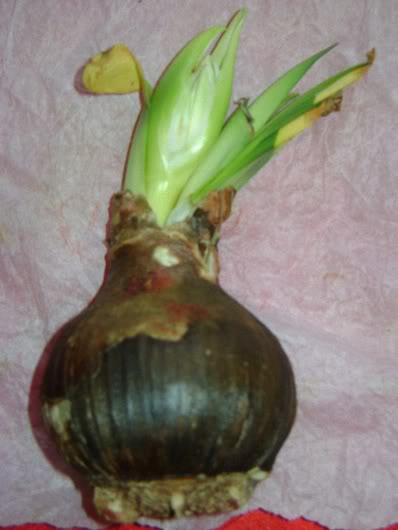 DSC05213.jpg