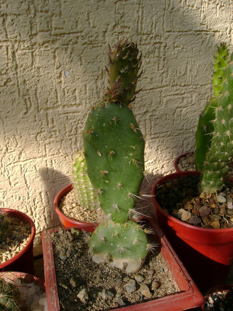 DSC05304.jpg
