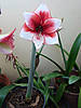 DSC053171.jpg