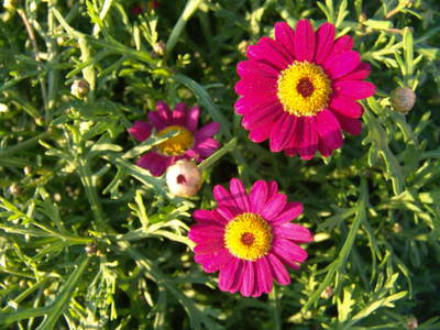DSC05329.JPG