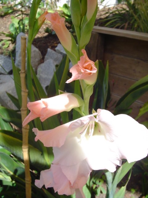 Dsc05339.jpg