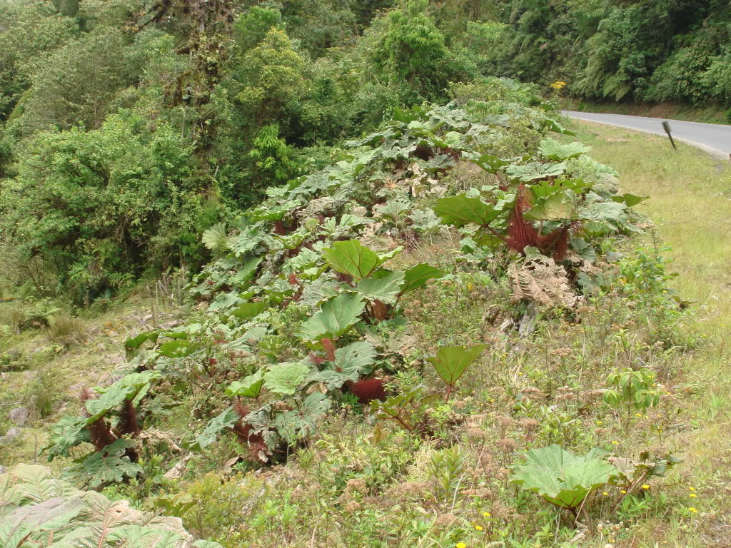 DSC05354.jpg