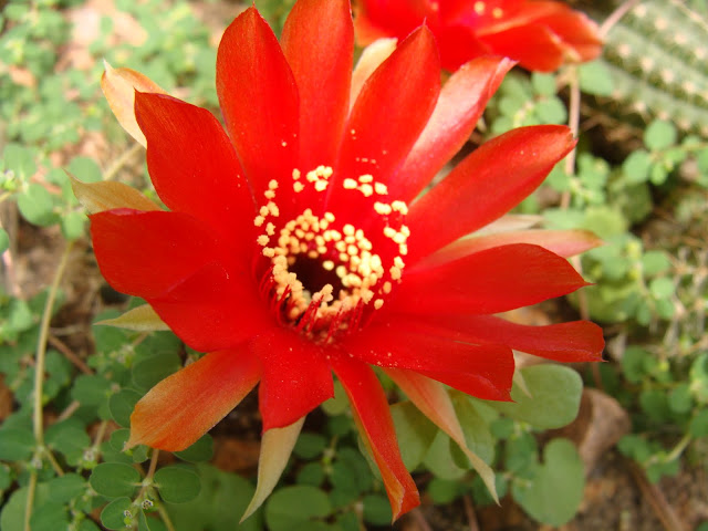 DSC05400.JPG