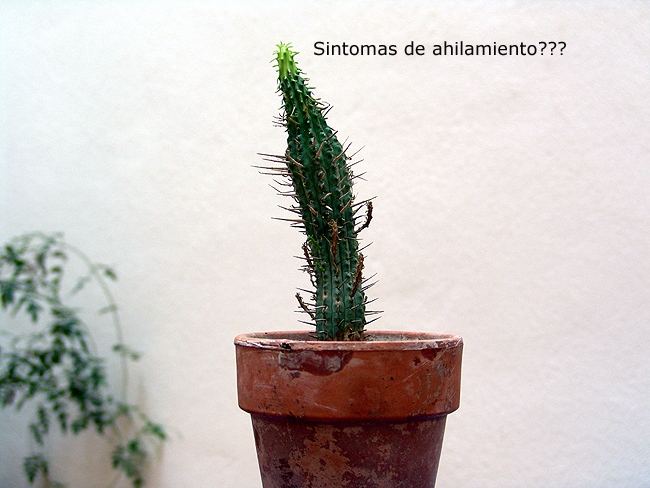 DSC05403_copia.jpg