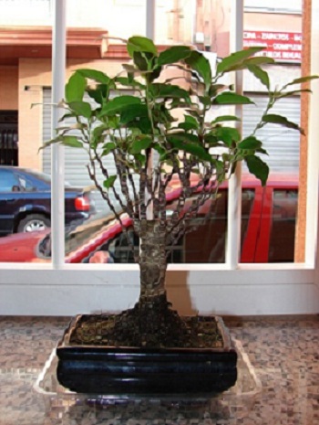 DSC05404.JPG