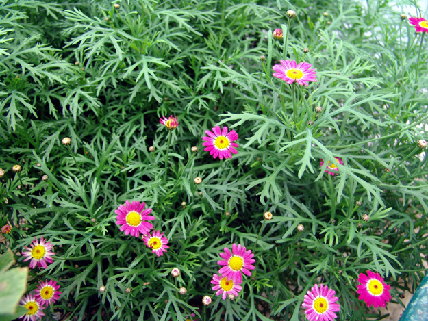 DSC05409.jpg