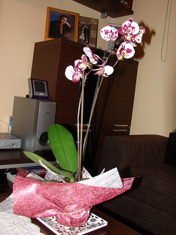 DSC05416.JPG