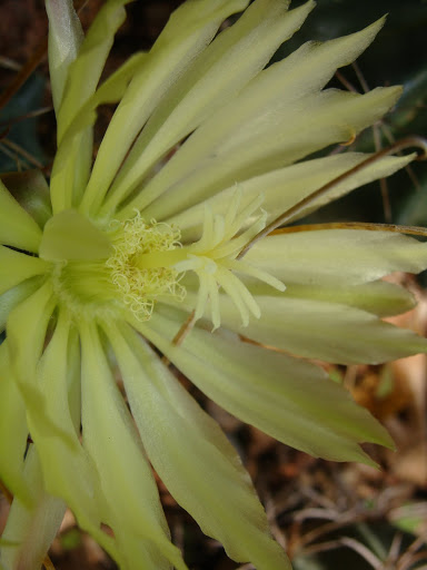 DSC05419.JPG