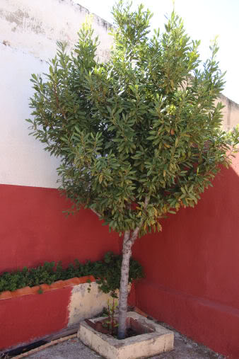 DSC05429.jpg