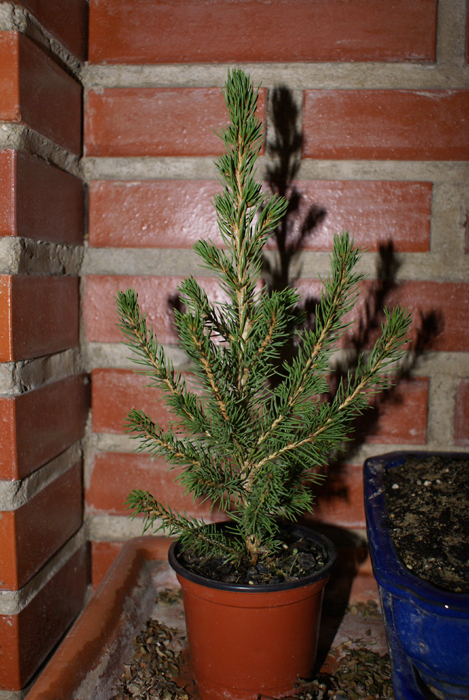 DSC05447t.jpg