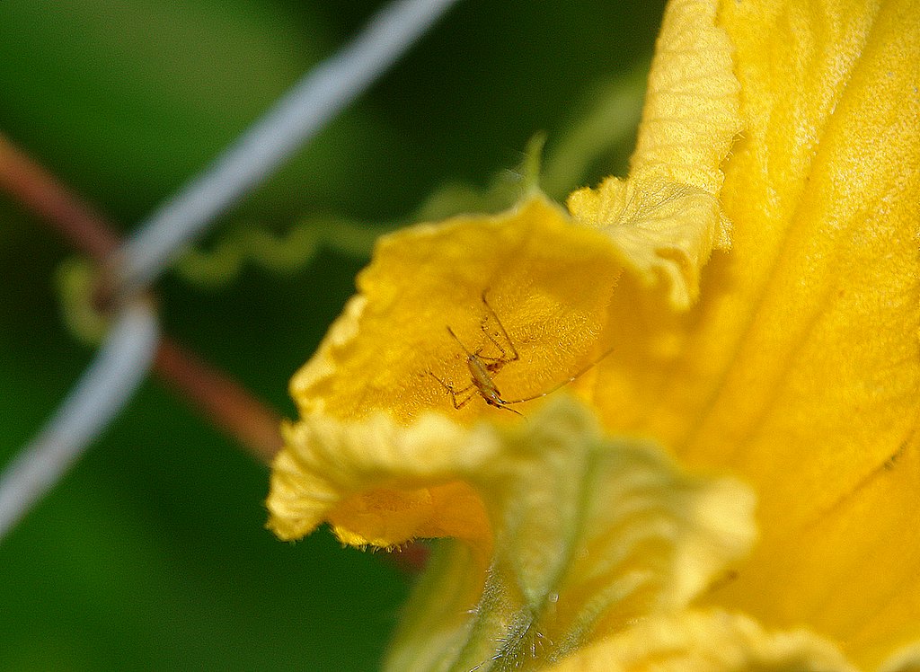DSC05527.jpg