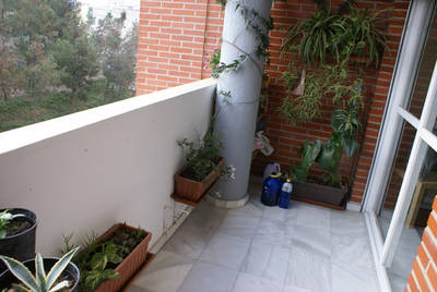 DSC05592t.jpg