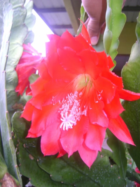 DSC05650.jpg