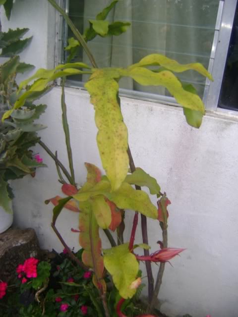 DSC05654.jpg