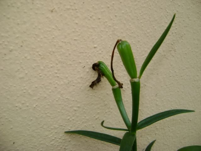 DSC05773.jpg