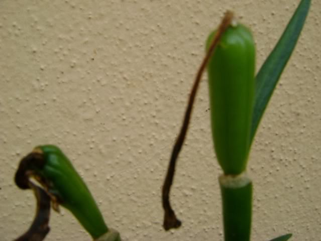 DSC05776.jpg