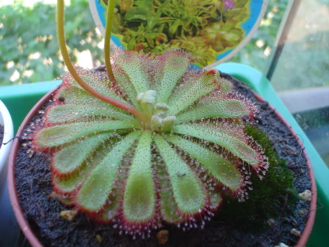 DSC05778.jpg