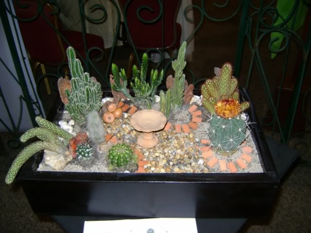 DSC05807.jpg