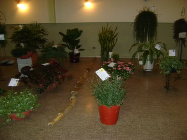 DSC05813.jpg