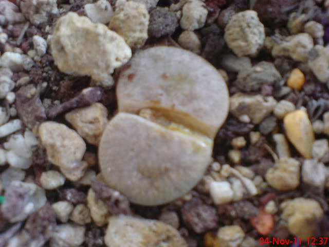 DSC05824.jpg