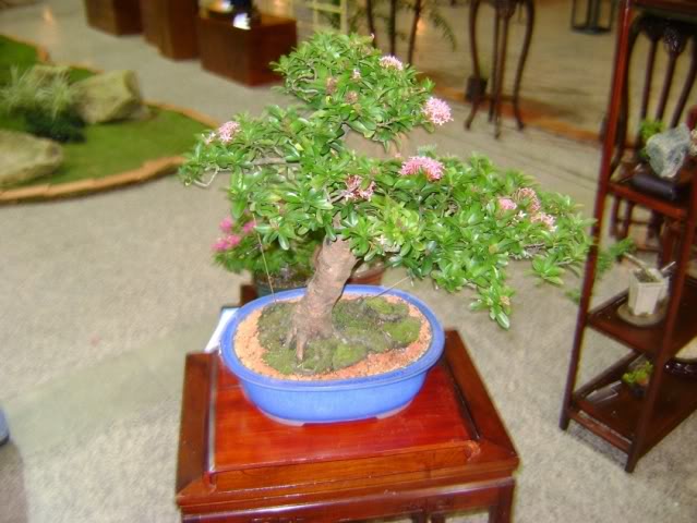 DSC05829.jpg