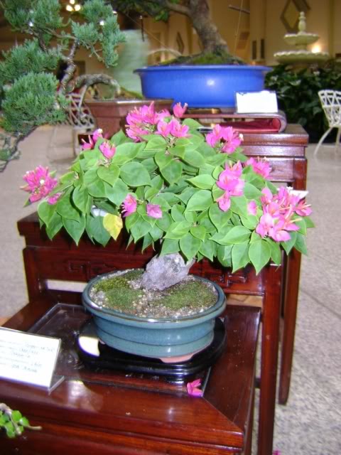 DSC05831.jpg