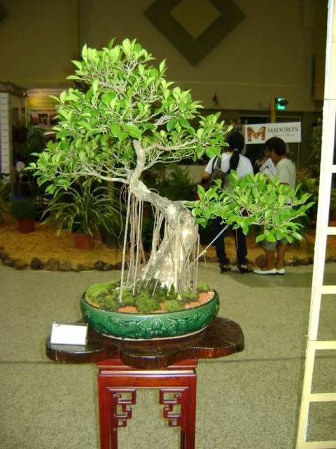 DSC05835.jpg
