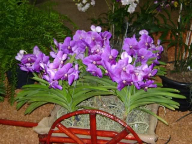 DSC05836.jpg