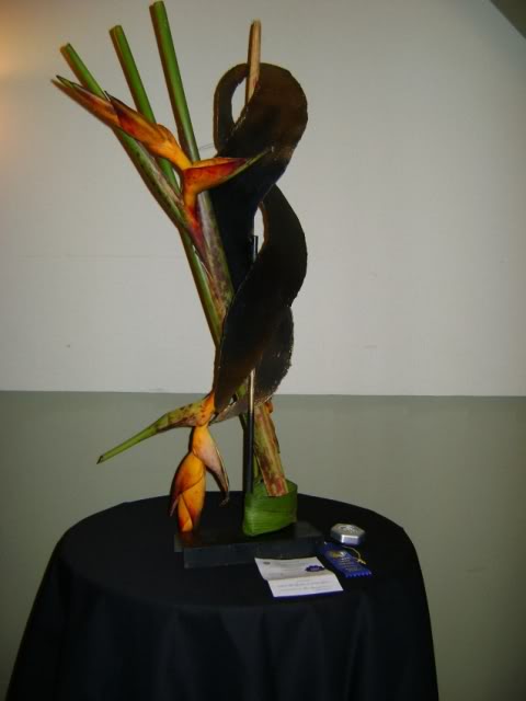 DSC05838.jpg