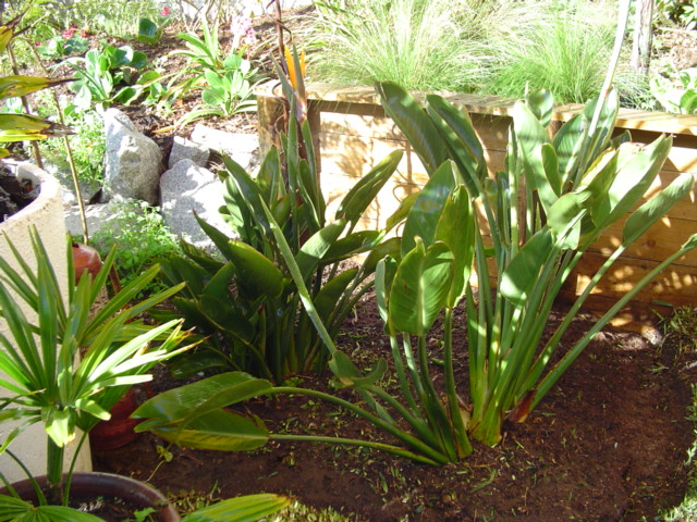 Dsc05844.jpg