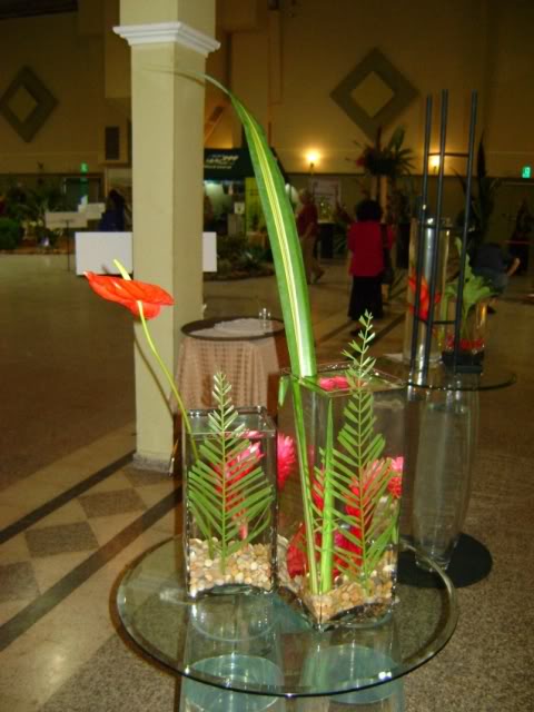 DSC05846.jpg